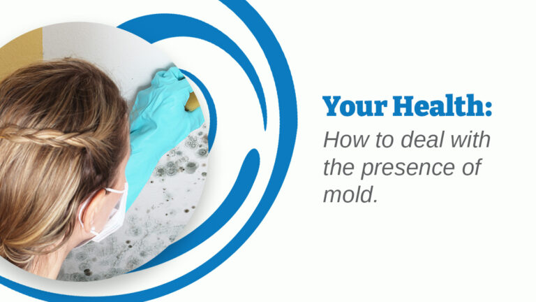 mold in house what to do